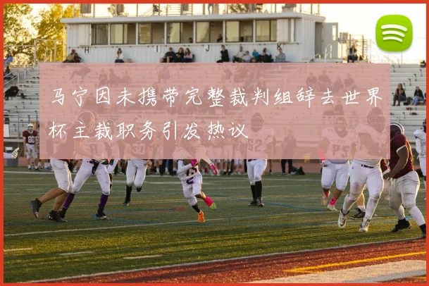 马宁因未携带完整裁判组辞去世界杯主裁职务引发热议